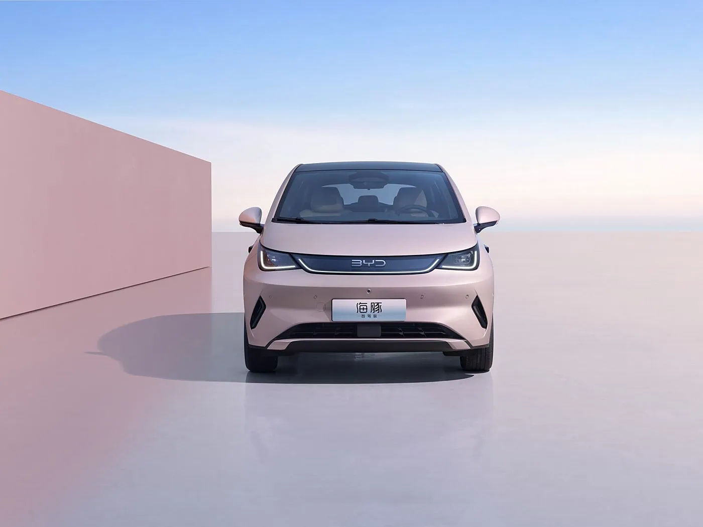 BYD Dolphin Urban Style Mini Electric Hatchback Fashion Edition met Smart Technology New Energy-voertuig