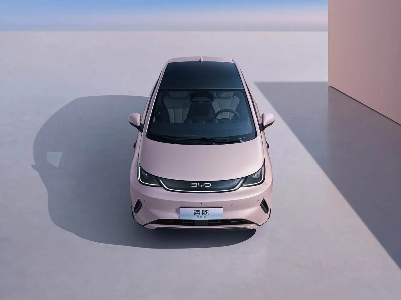 BYD Dolphin Urban Style Mini Electric Hatchback Fashion Edition met Smart Technology New Energy-voertuig